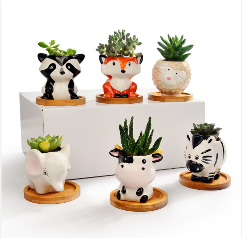 succulent animal pots Ceramic Animal succulent pots – Everleafdb